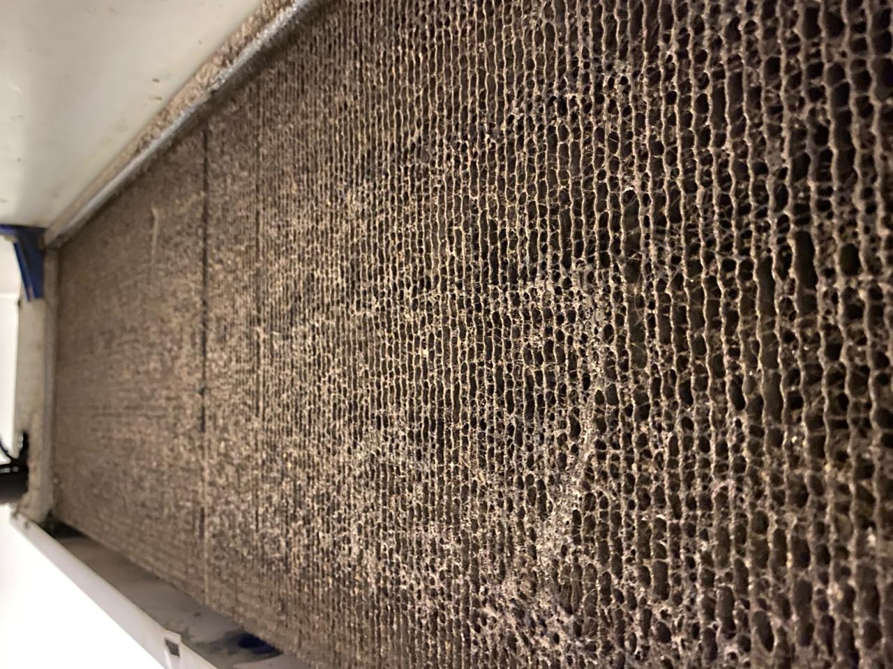 Rear view of dirty evaporator
